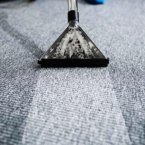 Area rug cleaning in Minneapolis, MN