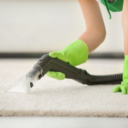 Professional Carpet Cleaning in The Twin Cities, MN